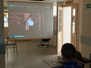 Профилактические фильмы для пациентов